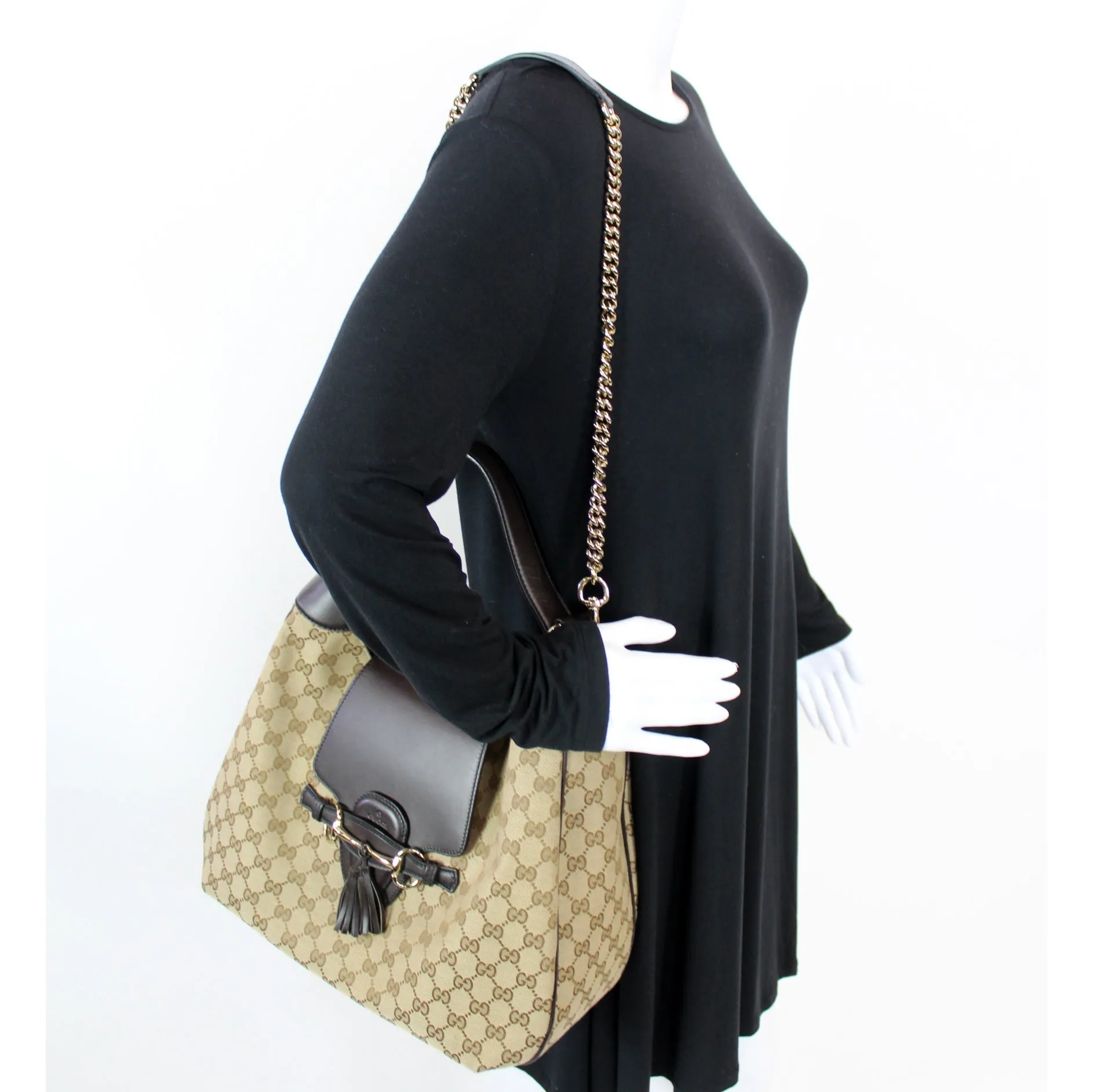 322226 Emily GG Hobo